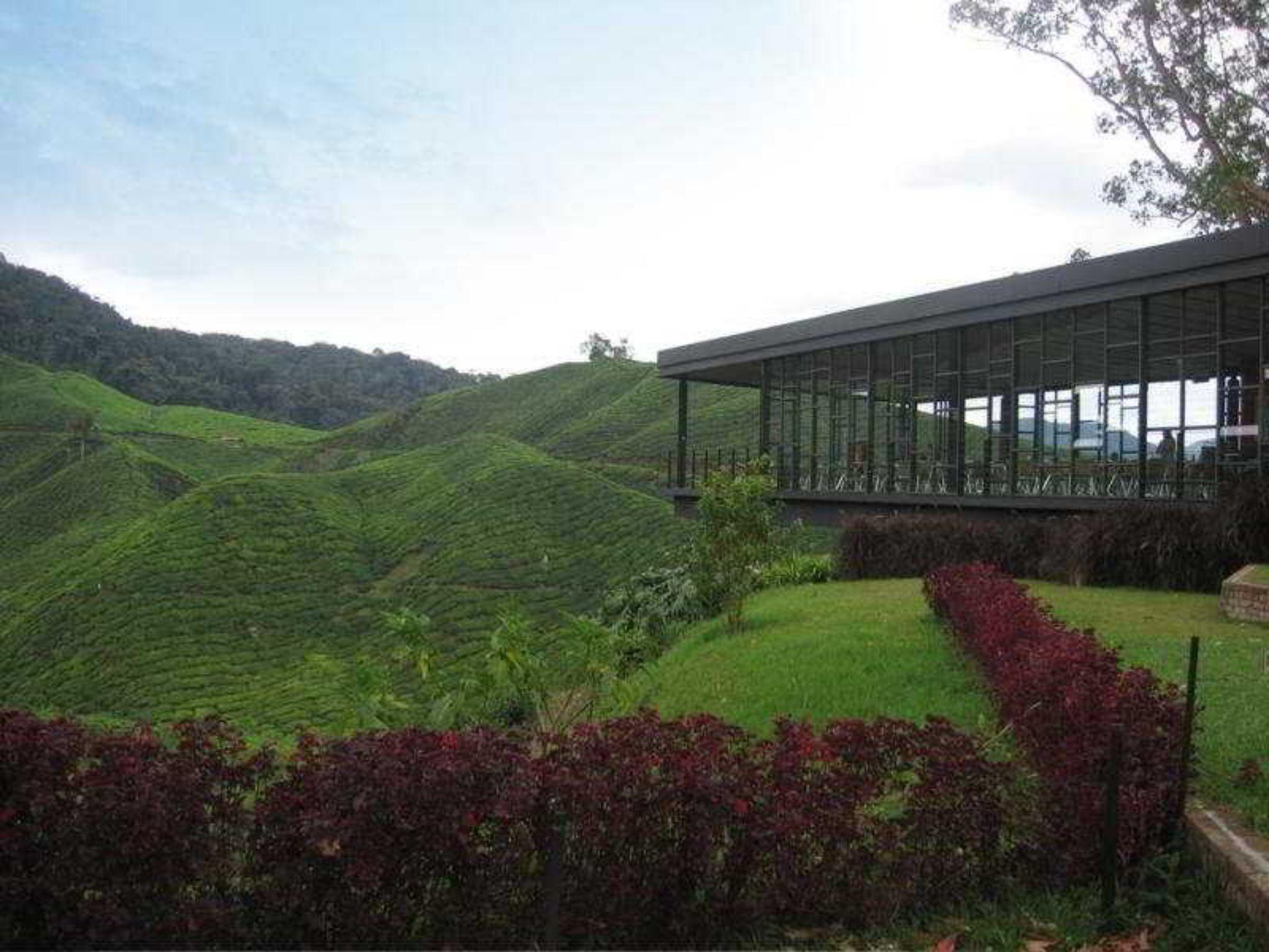 Century Pines Resort Cameron Highlands Zewnętrze zdjęcie